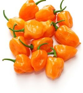 Peper Geel/kg