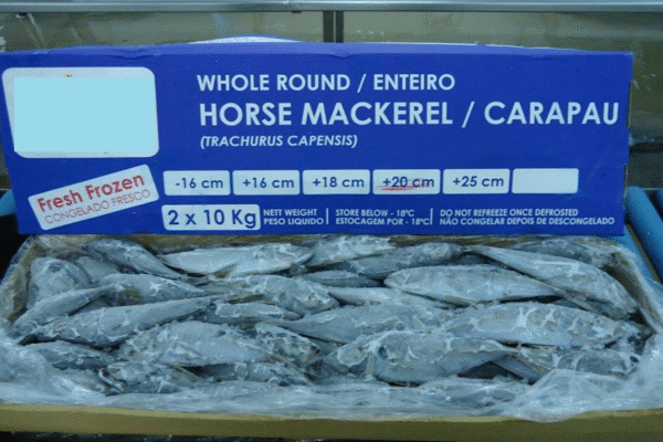Horse Mackerel Packed 10X1kg