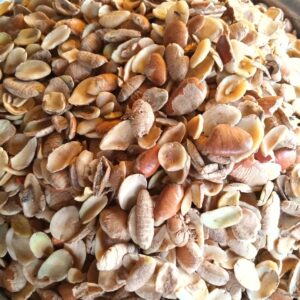 Ogbono whole 20x100g