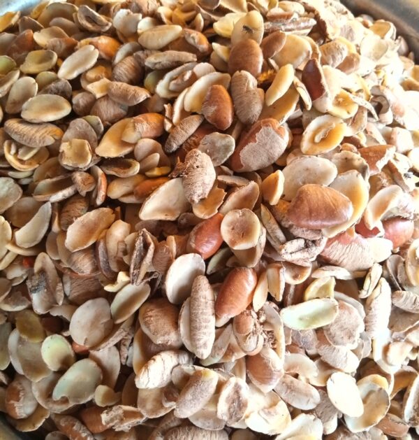 Ogbono whole 20x100g