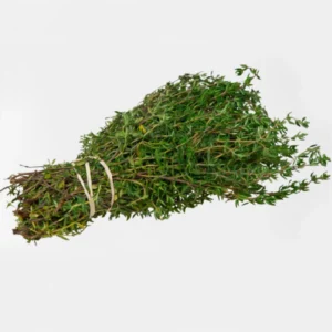 Thyme 20 x 50g