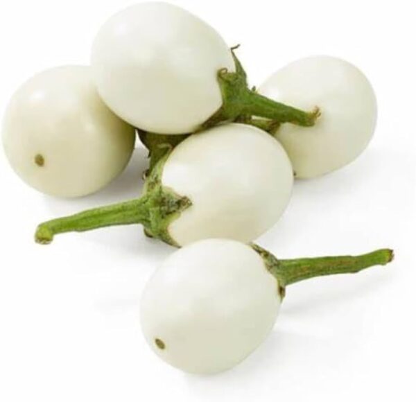 Garden Eggs 5kg sp