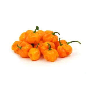 Peper Geel kg