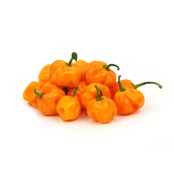 Peper Geel kg