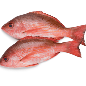 RED FISH PACKED 800/1200G 5KG