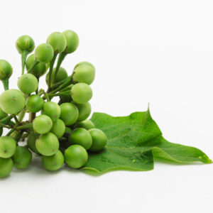 Turkey Berry p/kg