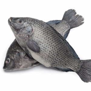 Tilapia G/D 600/800G IWP NW 3,2KG PER UNIT