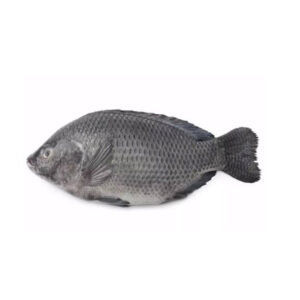 TILAPIA G/D 800/1000G IWP  NW 3,2KG PER UNIT